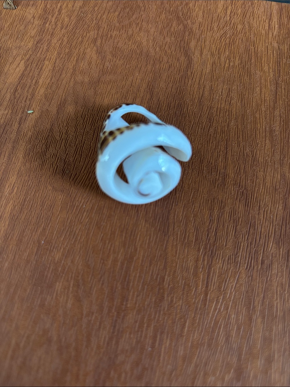 White Ceramic Ice Cream Cone Ring with Brown Cone Detail - Picture 2 of 3